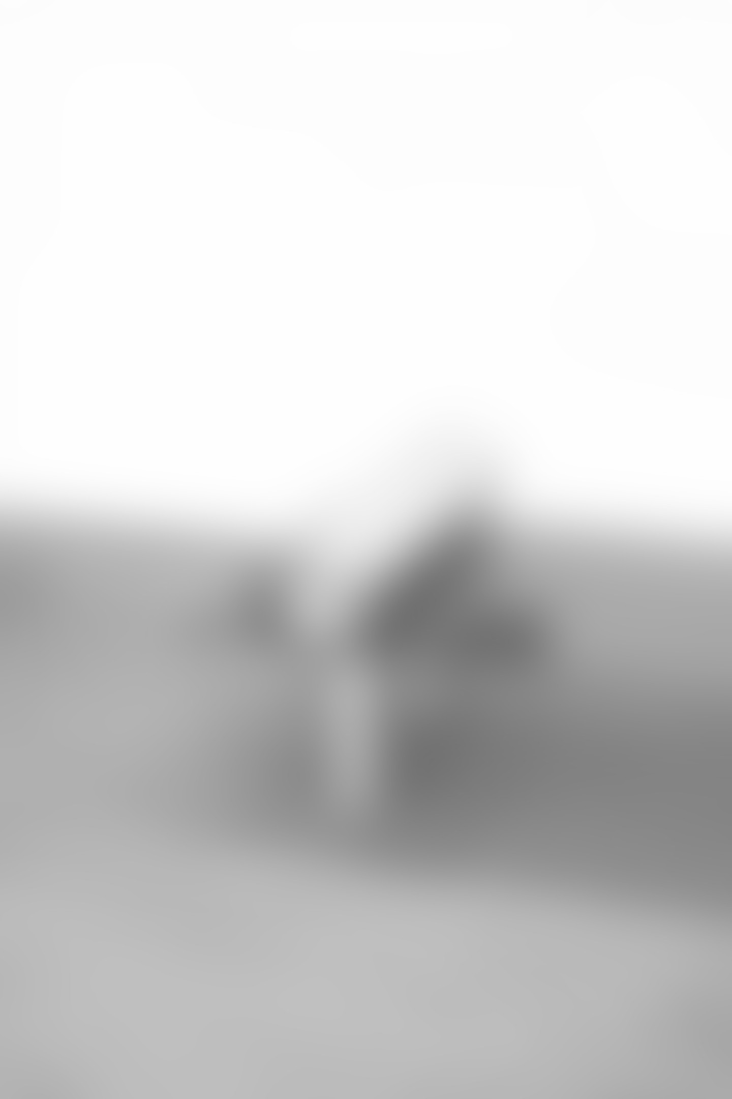 arya-safavi-havenline-quarter-2