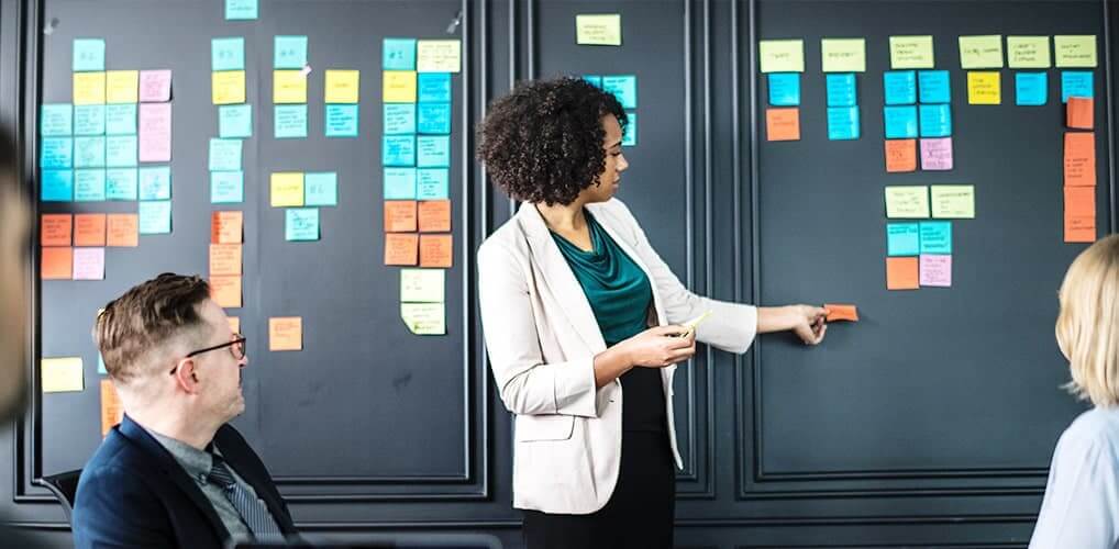 Understanding Requirements of the Organization