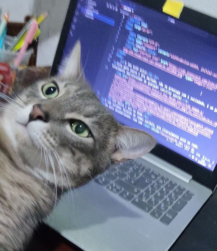 A cat rests on a laptop keyboard with code on screen, evoking everyday laptop repair and upgrade decisions