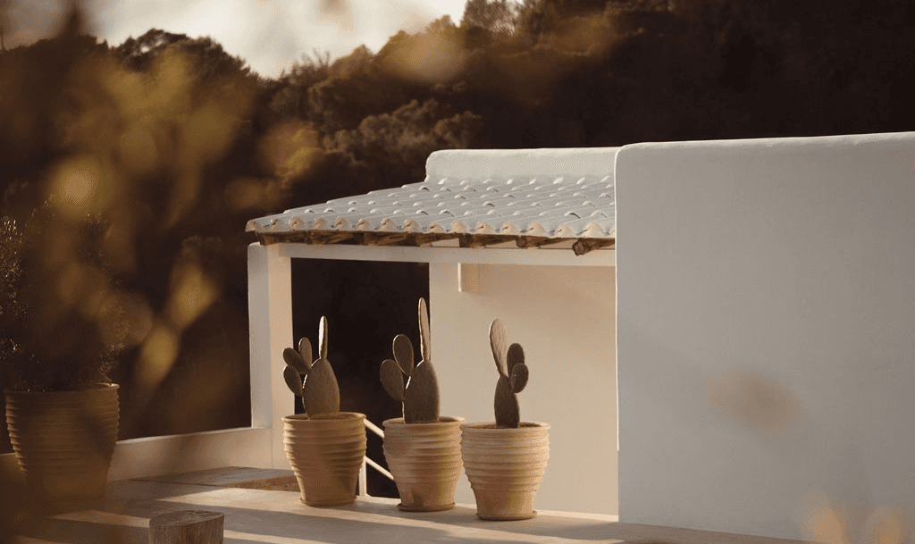Sunlit Mediterranean villa and cacti at golden hour, evoking the slower, more intentional desire that often comes with age