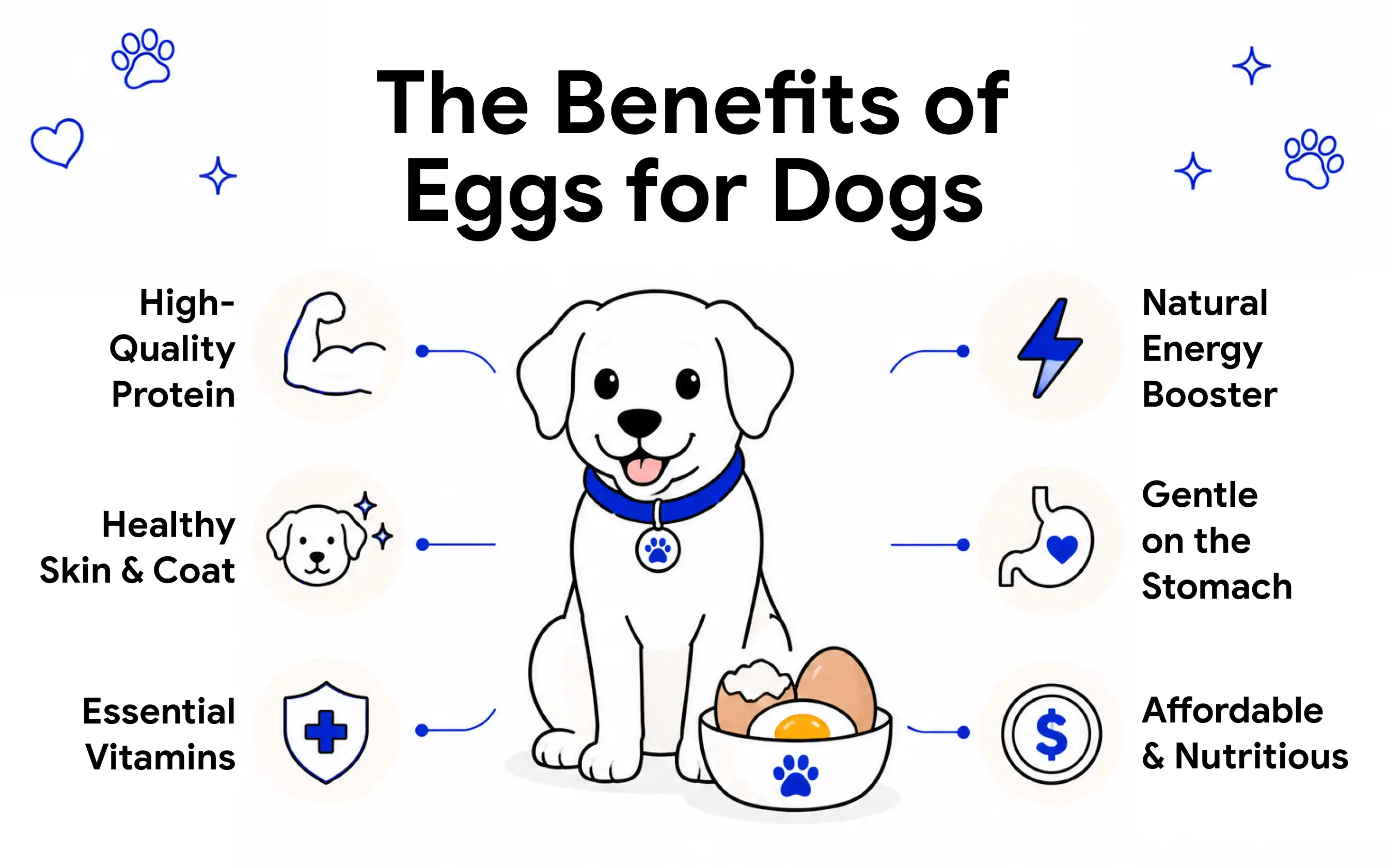 Benefits of Eggs for Dogs