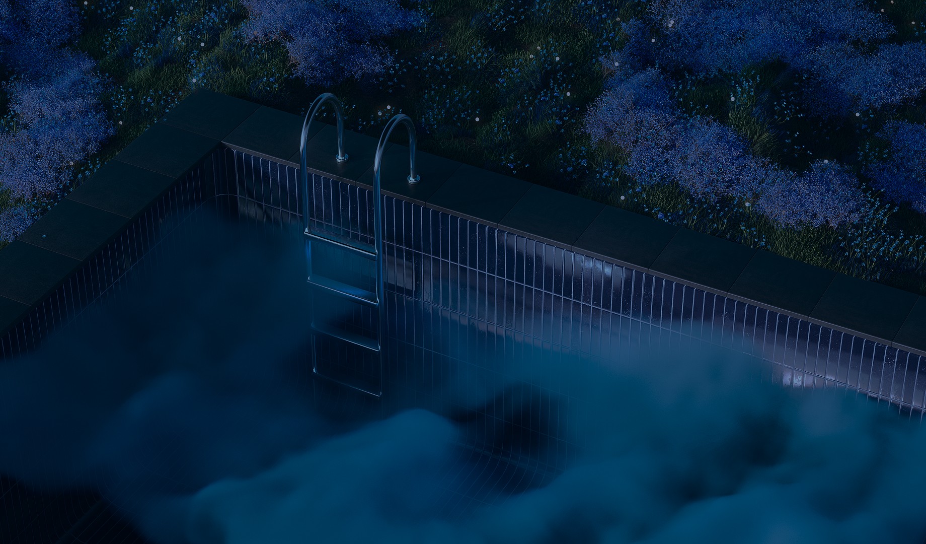 Blurry Background Image