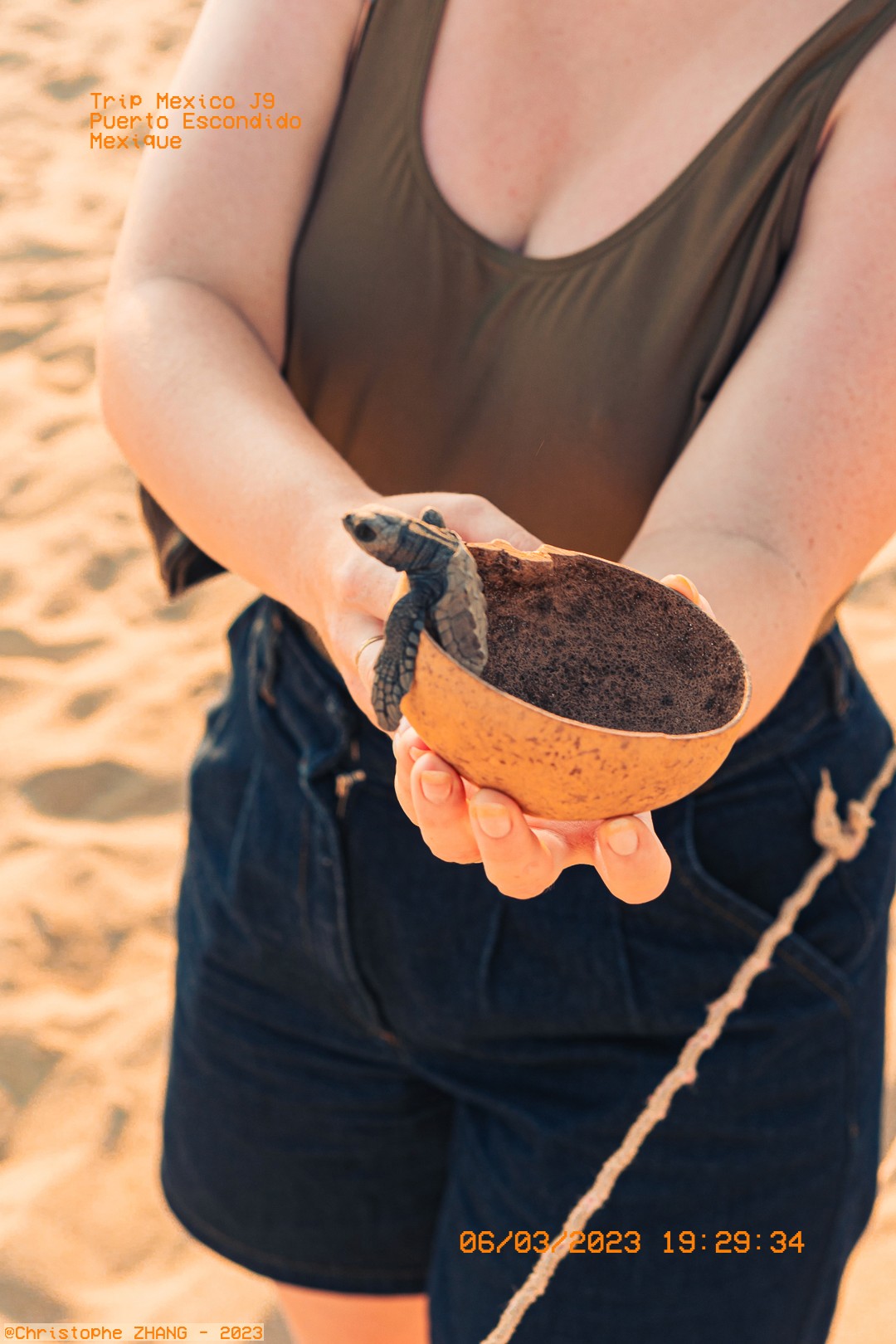 Femme tenant un bébé tortue à Puerto Escondido, prête pour la libération sur la plage.