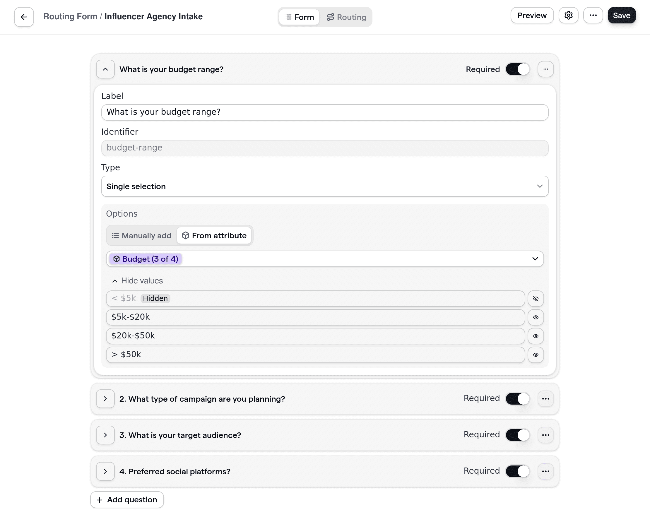 Influencer agency routing form with custom questions related to campaign type, audience, and platform preferences.