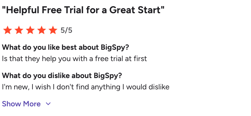 BigSpy review about its free trial for new users