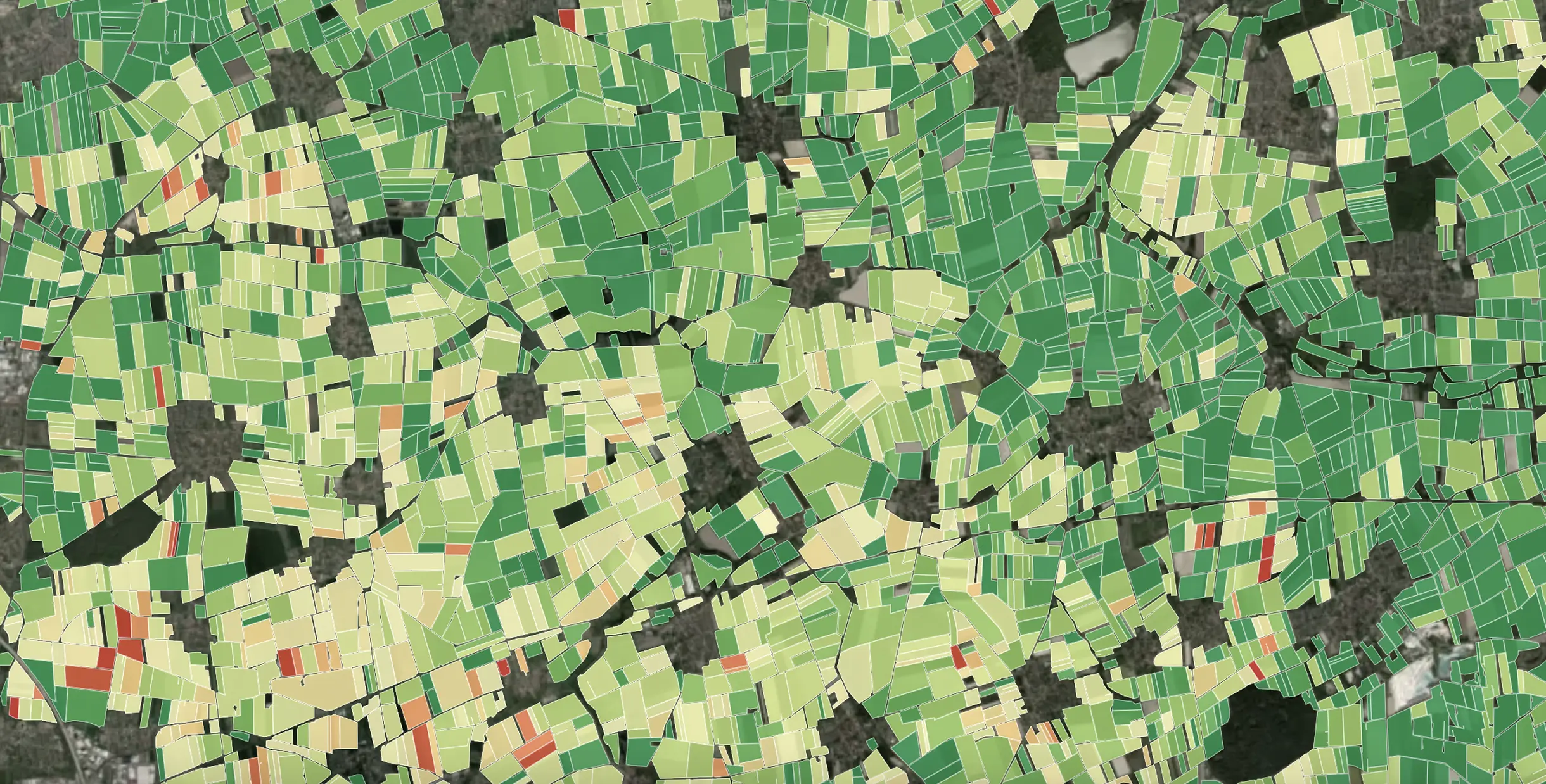 DigiFarm Field Delineation Map