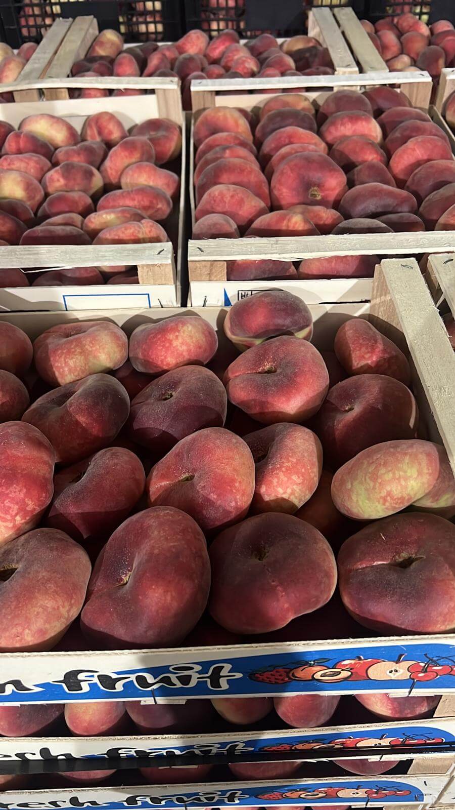Batch of flat peaches ready for refrigerated truck delivery.