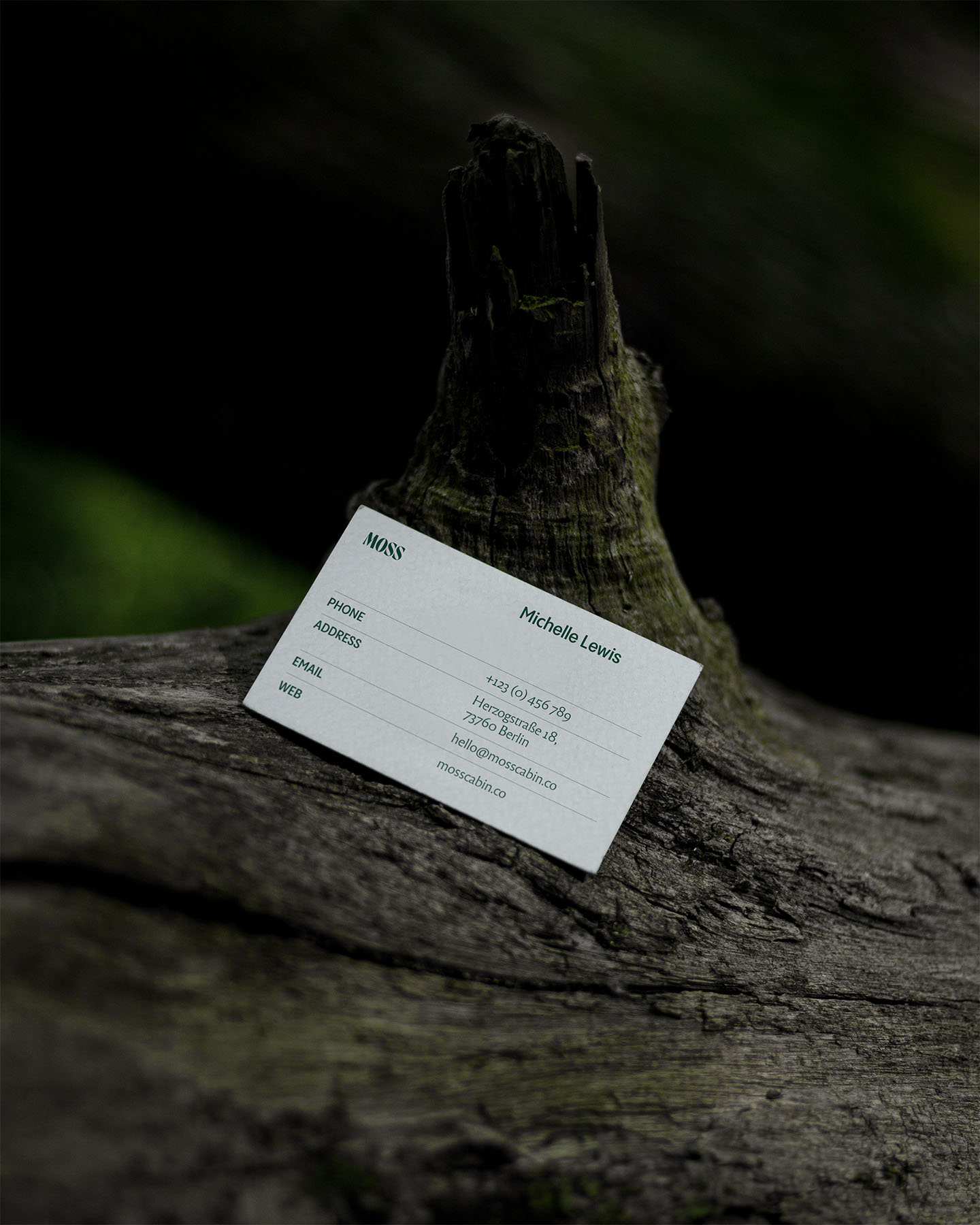 Moss minimalist business card on weathered wood with moss-covered bark