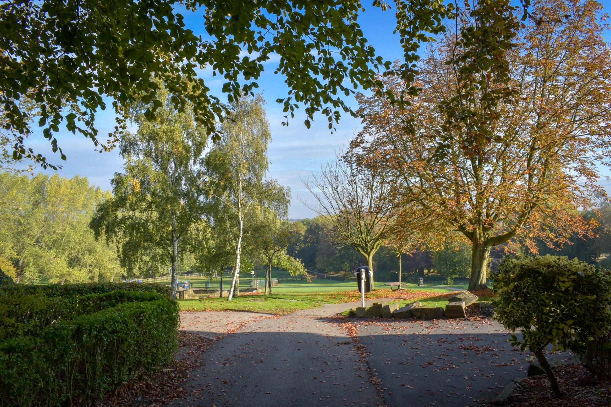 Entrance to a treelined park