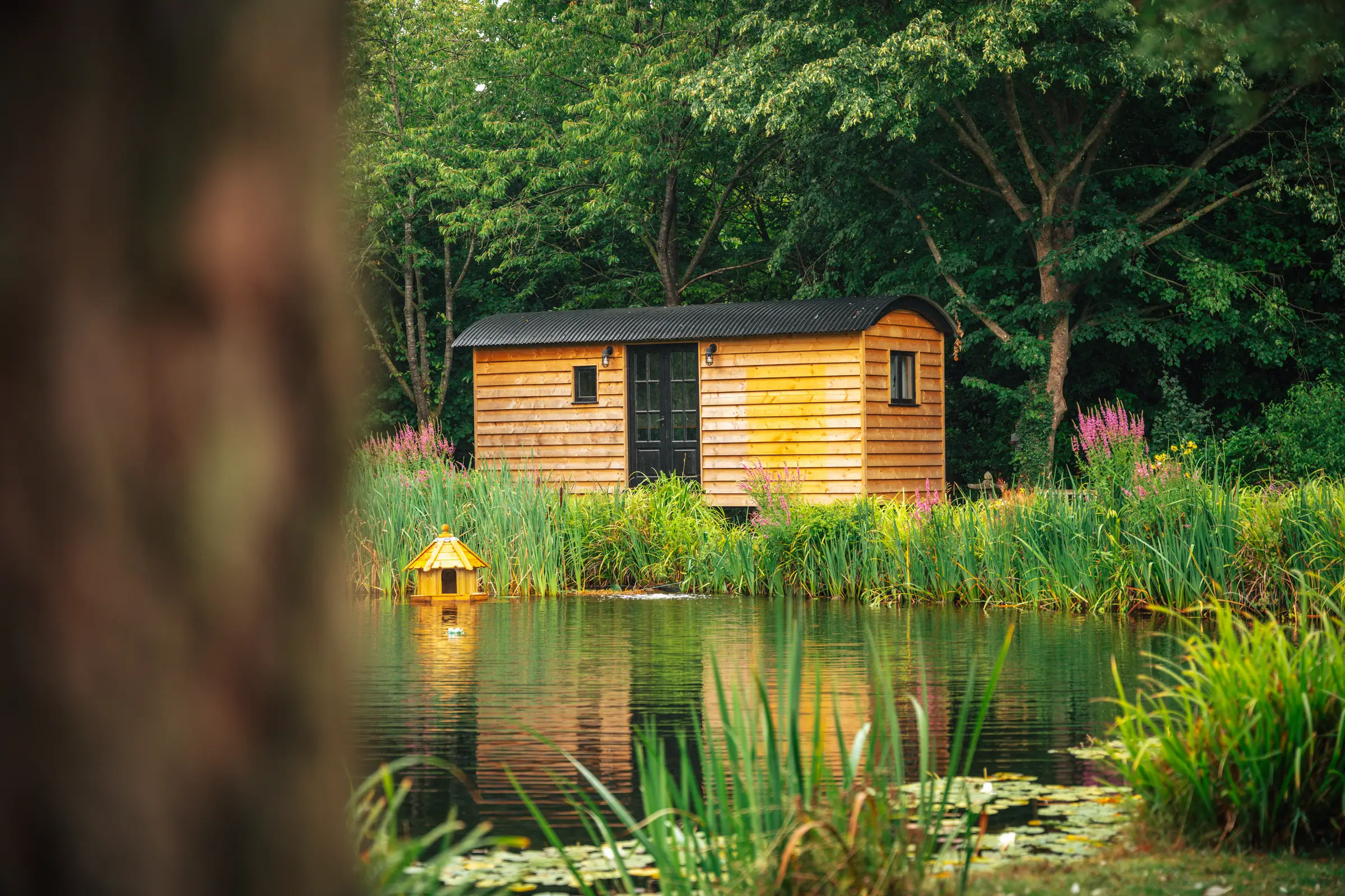 Funky Huts
