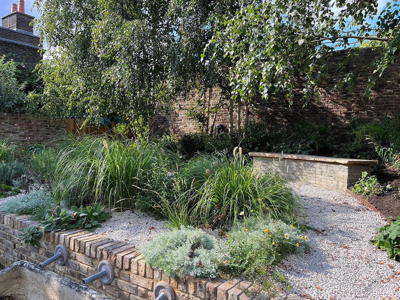 Lush garden scene with a variety of green plants and trees under bright sunlight. Pathway visible.