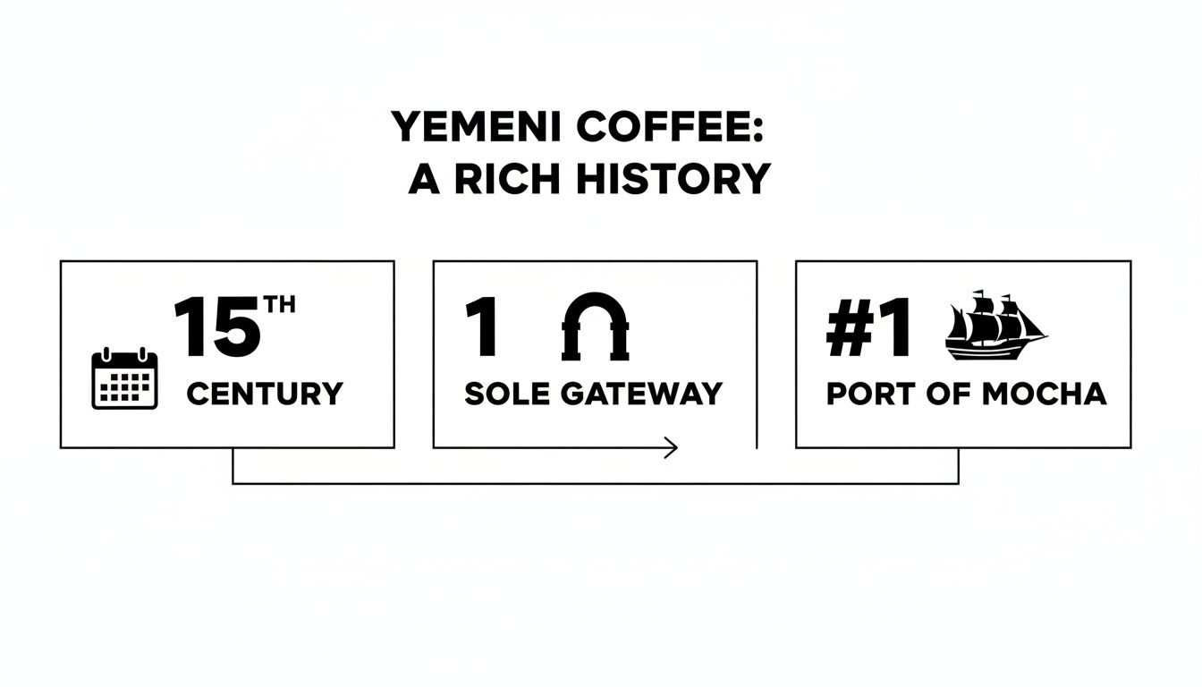 An infographic illustrating Yemeni coffee's rich history, highlighting its 15th-century origins, sole gateway, and the Port of Mocha.
