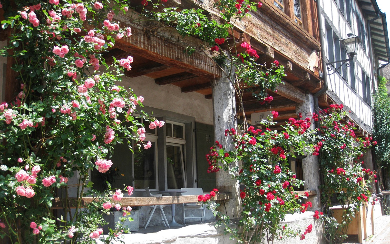 迷人的瑞士小木屋，盛开的玫瑰，尽享海德兰之旅。