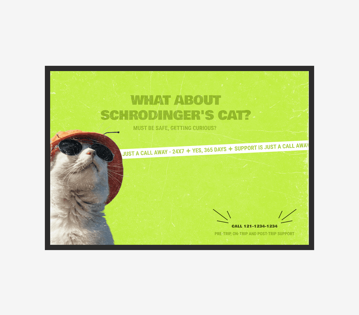 Cat in green
