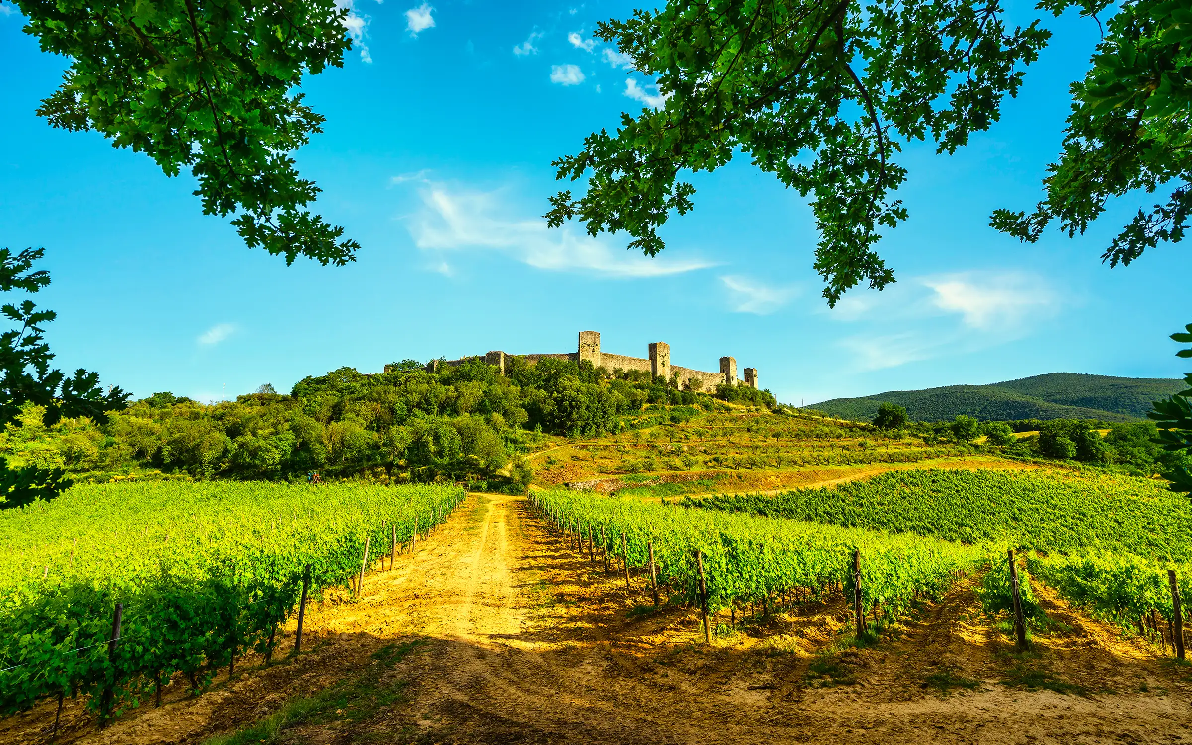 Sykkeltur Via Francigena i Toscana