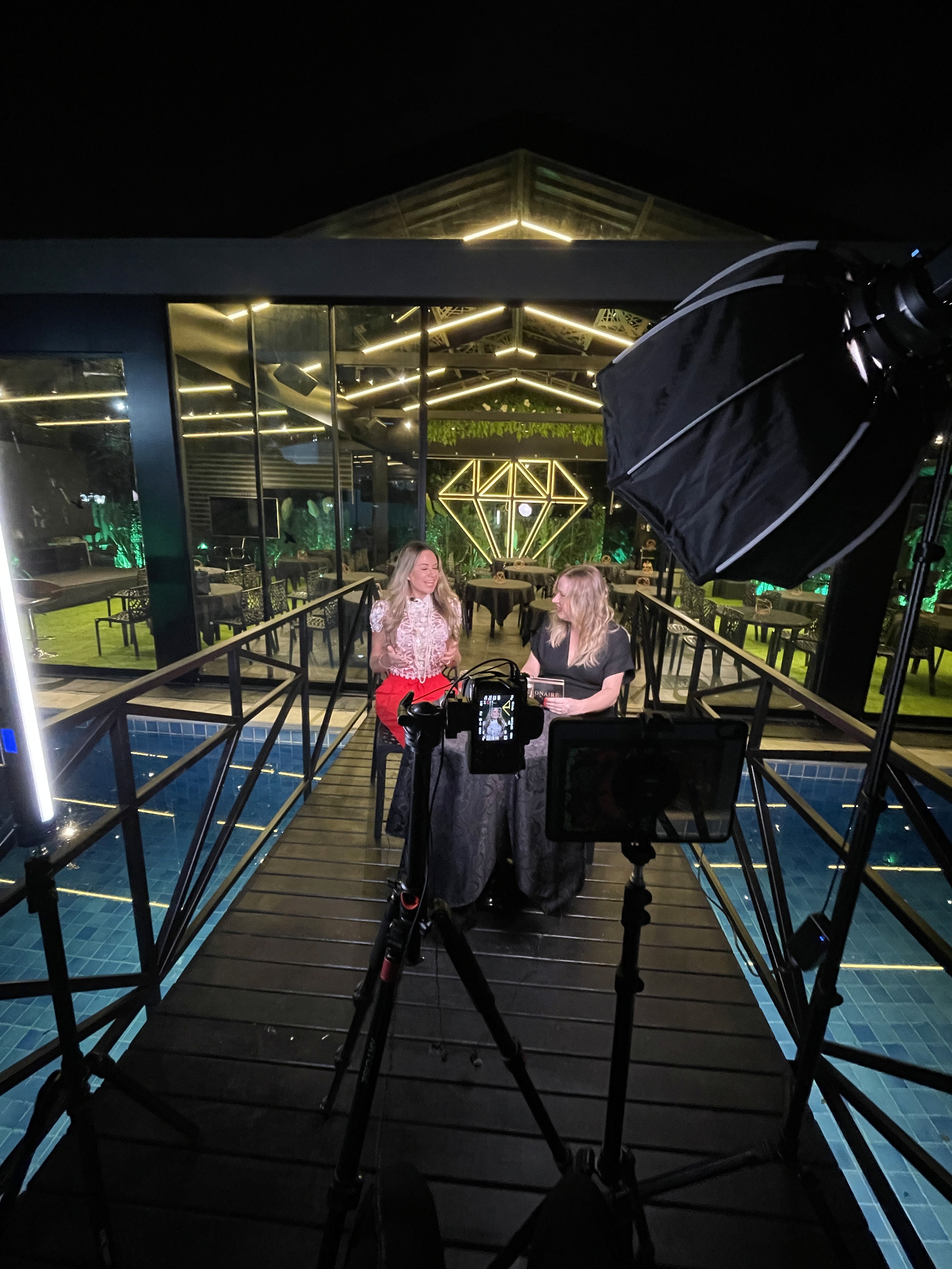 Close-up of a tree stump showing growth rings and a textured brown wood surface.