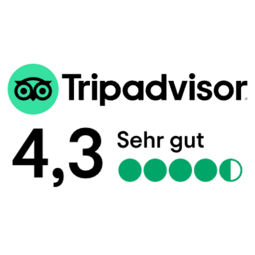 Tripadvisor Logo Badge