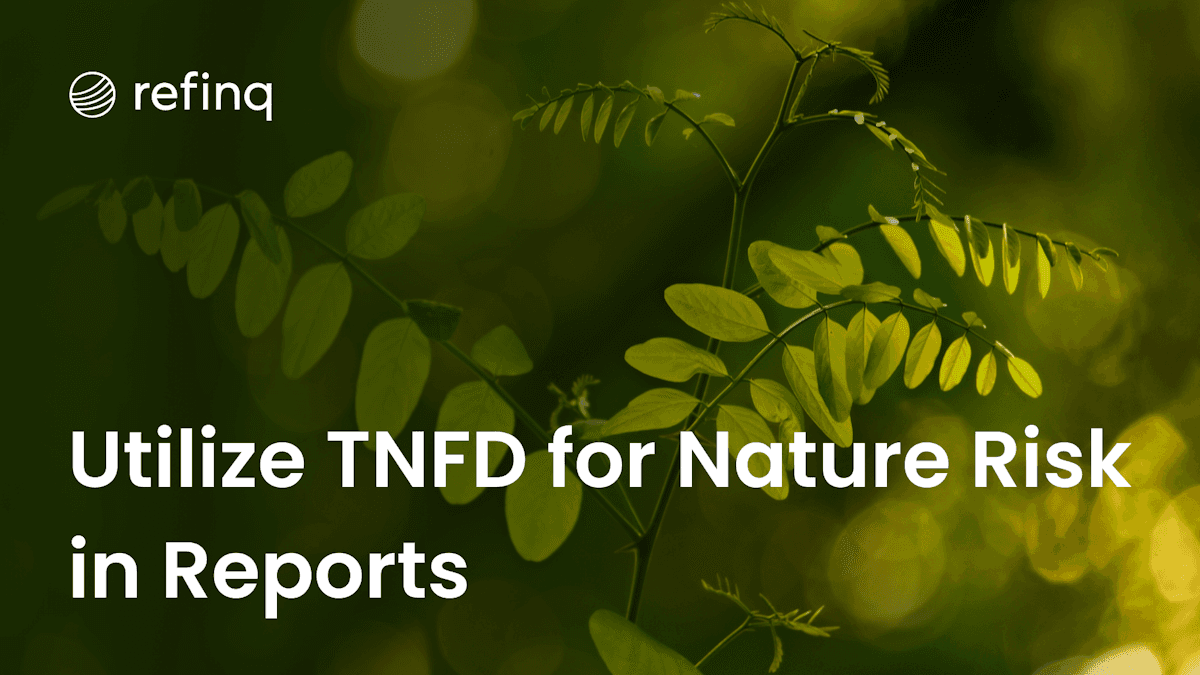 TNFD