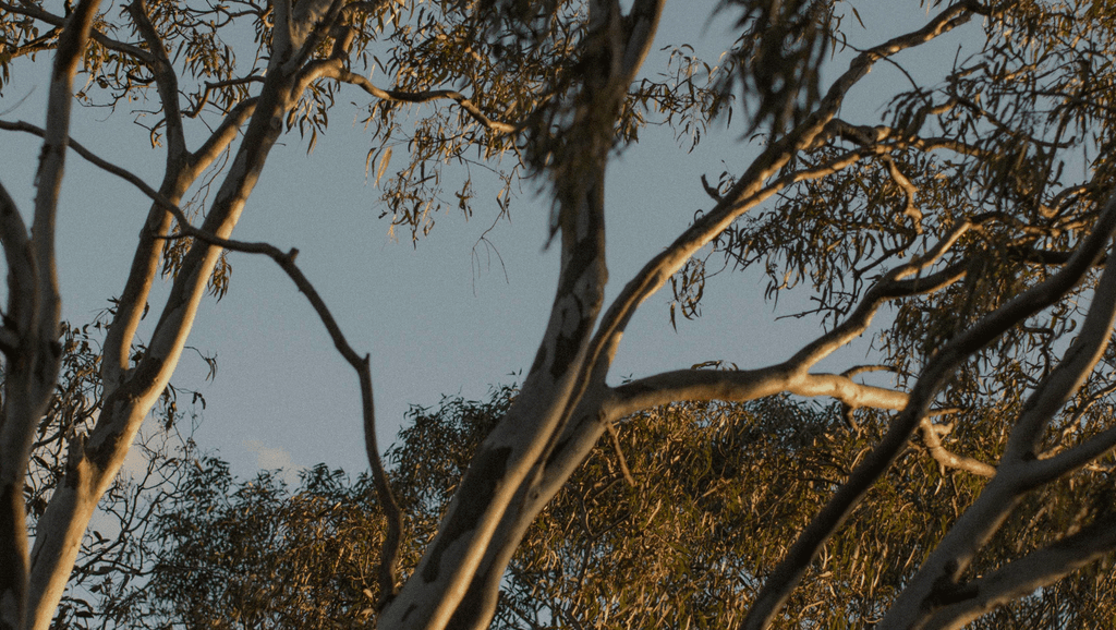 Fisher Place – Luxury Townhouses at 261 Glenlyon Rd, Fitzroy North