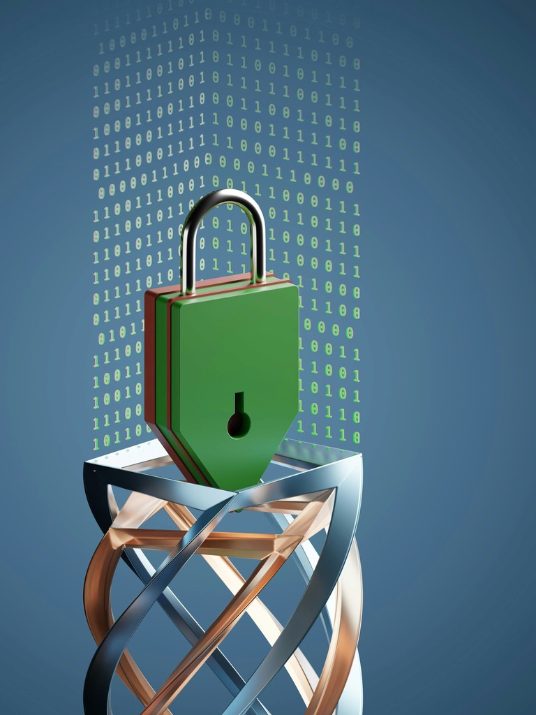 A conceptual illustration of a green padlock integrated with a double helix structure, symbolizing the intersection of cybersecurity and genetic data protection. The background features cascading binary code, representing digital security and encryption, emphasizing the importance of safeguarding sensitive genetic information in the digital age.