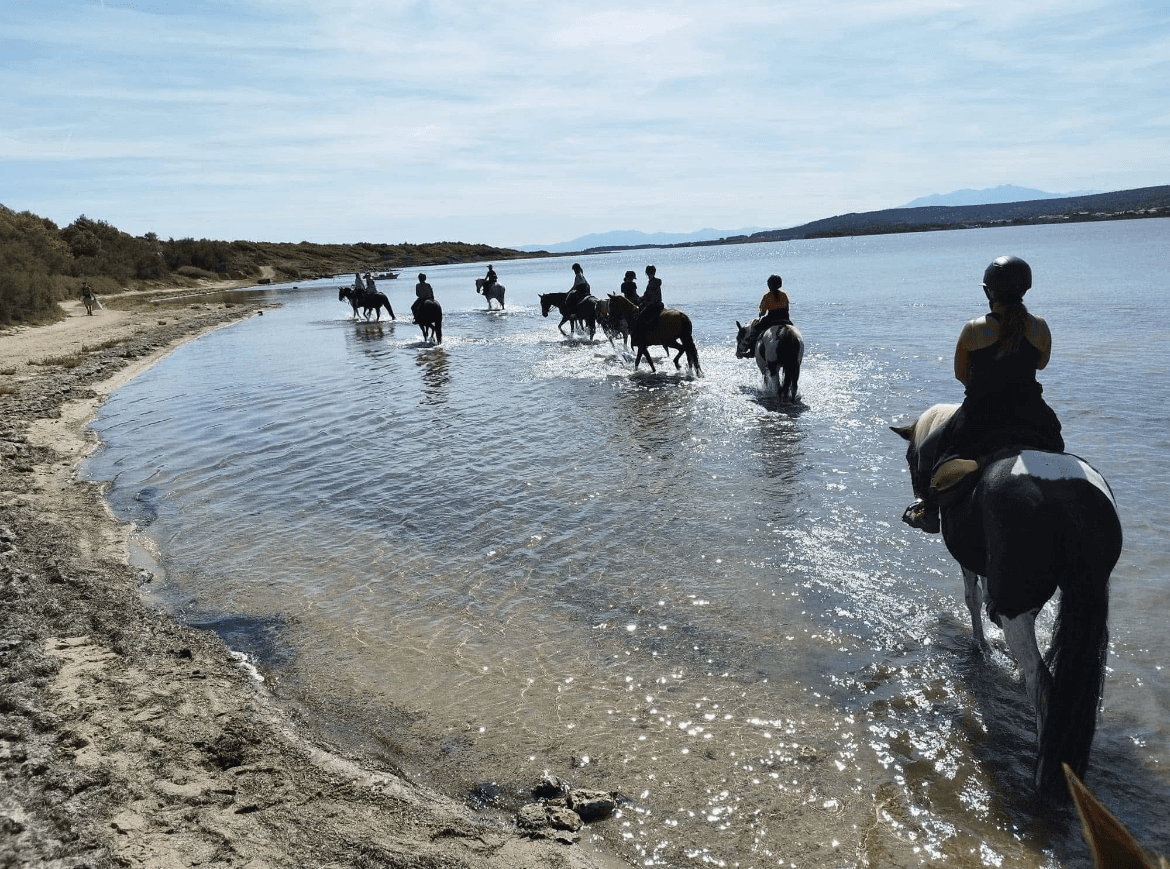 Groupe de cavaliers en randonnée équestre dans l'eau près de la mer au Cap d'Agde, Ranch Pegase.