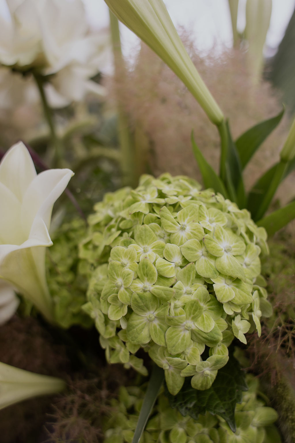 Detalle de hortensia verde en primer plano, parte de una composición floral de estilo orgánico y contemporáneo.