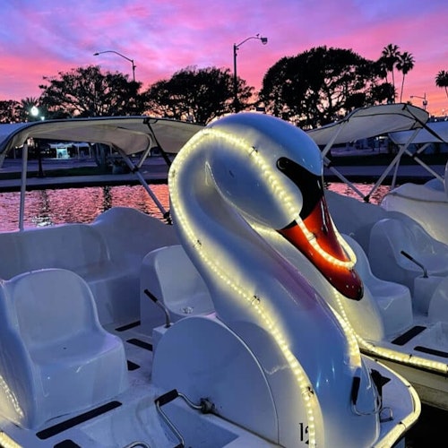 彩虹泻湖天鹅船 由趣乐运动租赁提供