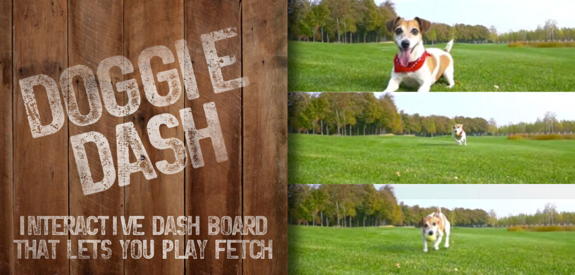 Doggy Dash Interactive Dashboard