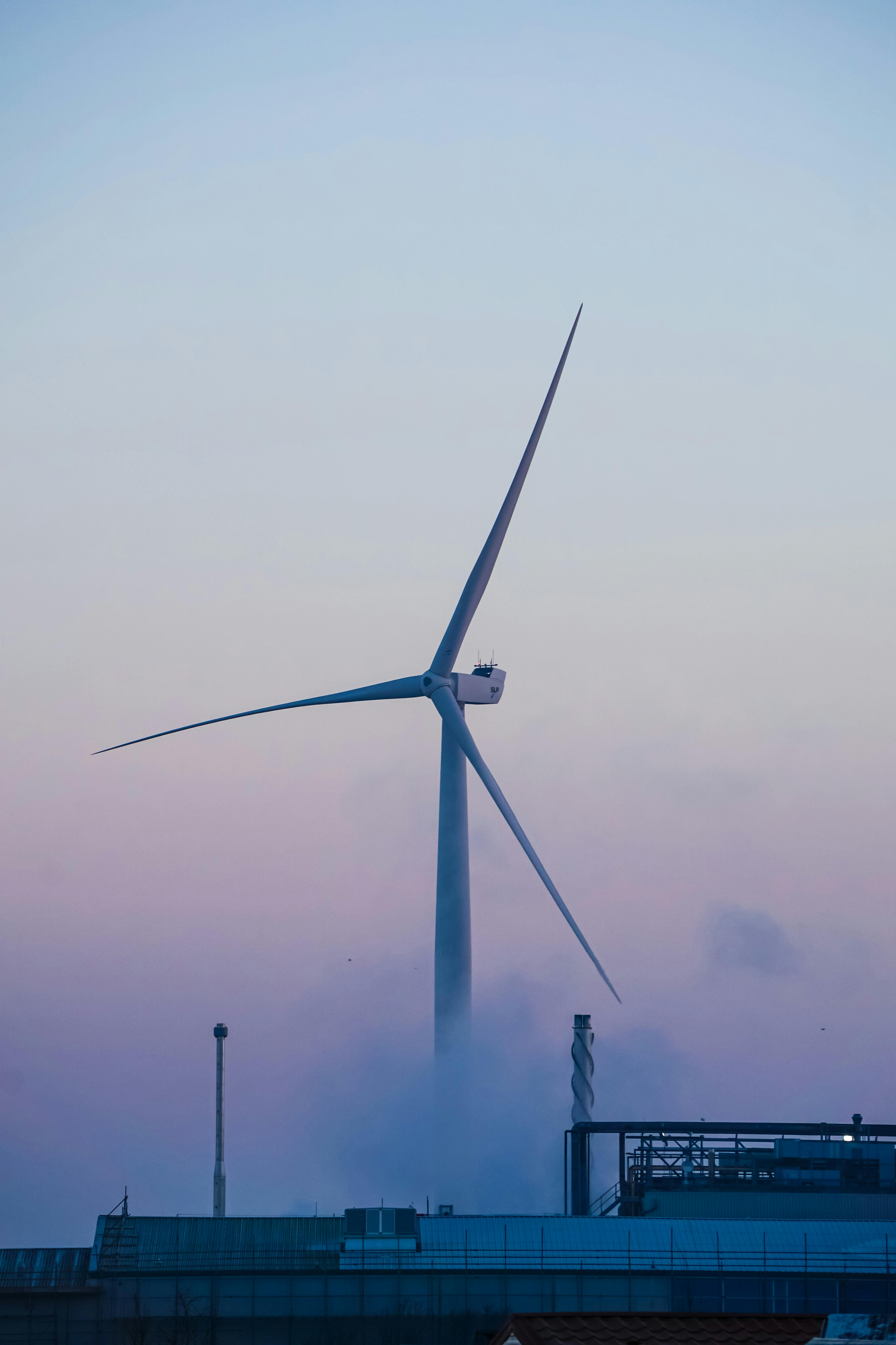 a field of yellow flowers with wind turbines in the background