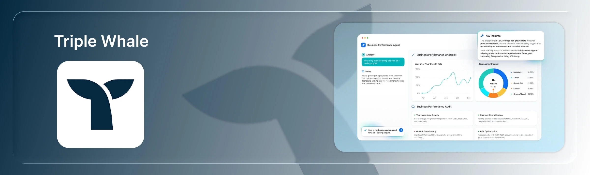 Triple Whale Sample Dashboard