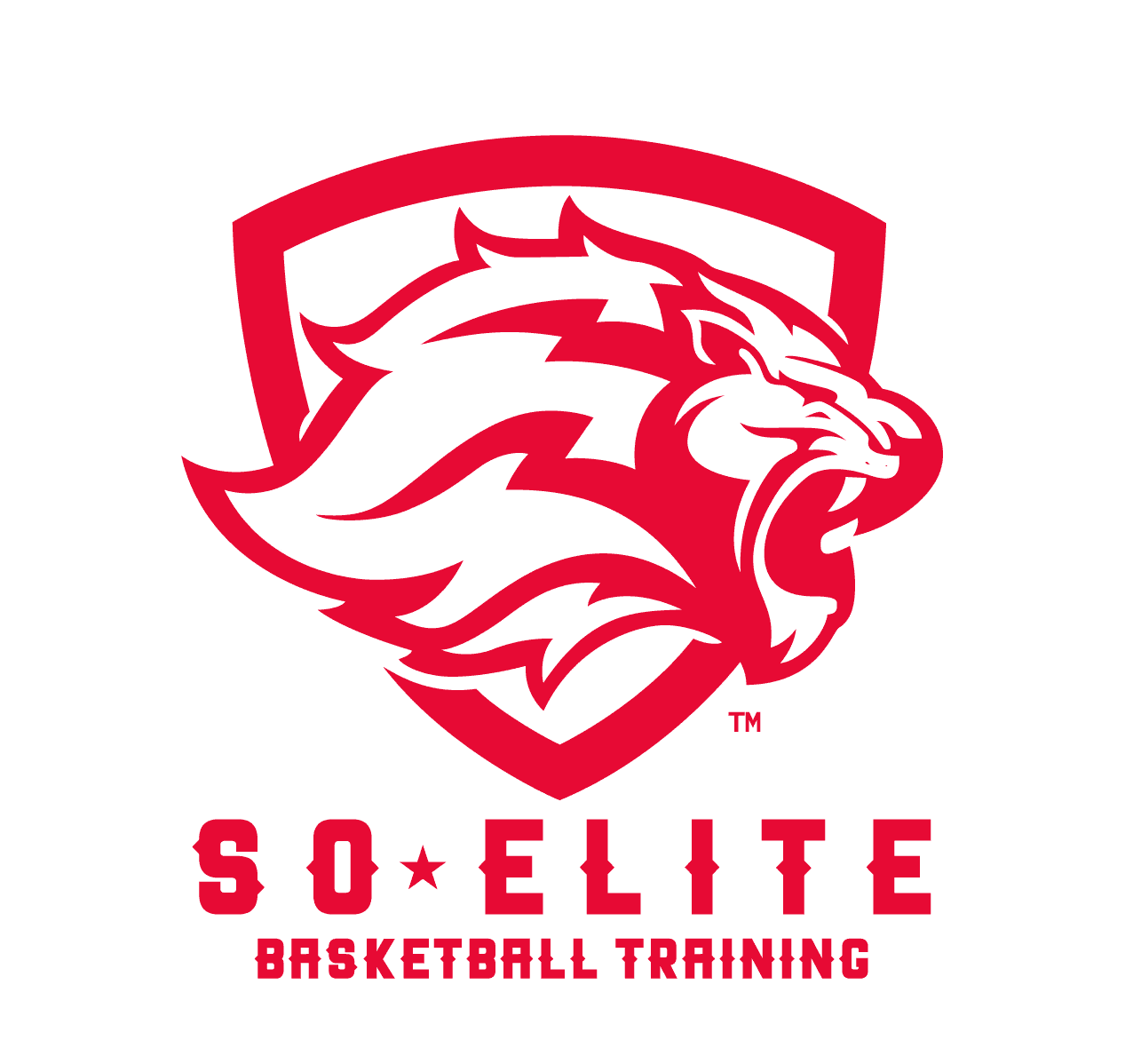 A man in a gray blazer and brown vest, with gray-streaked hair, poses against a neutral background.