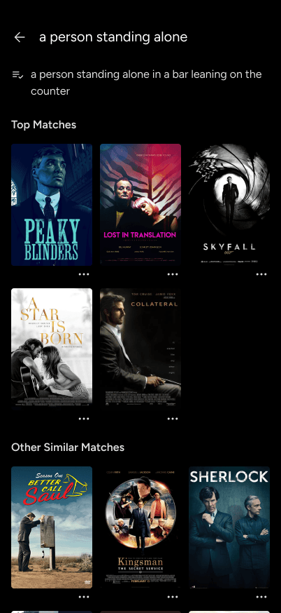 A results page showing "Top Matches" and "Other Similar Matches" based on a refined visual description