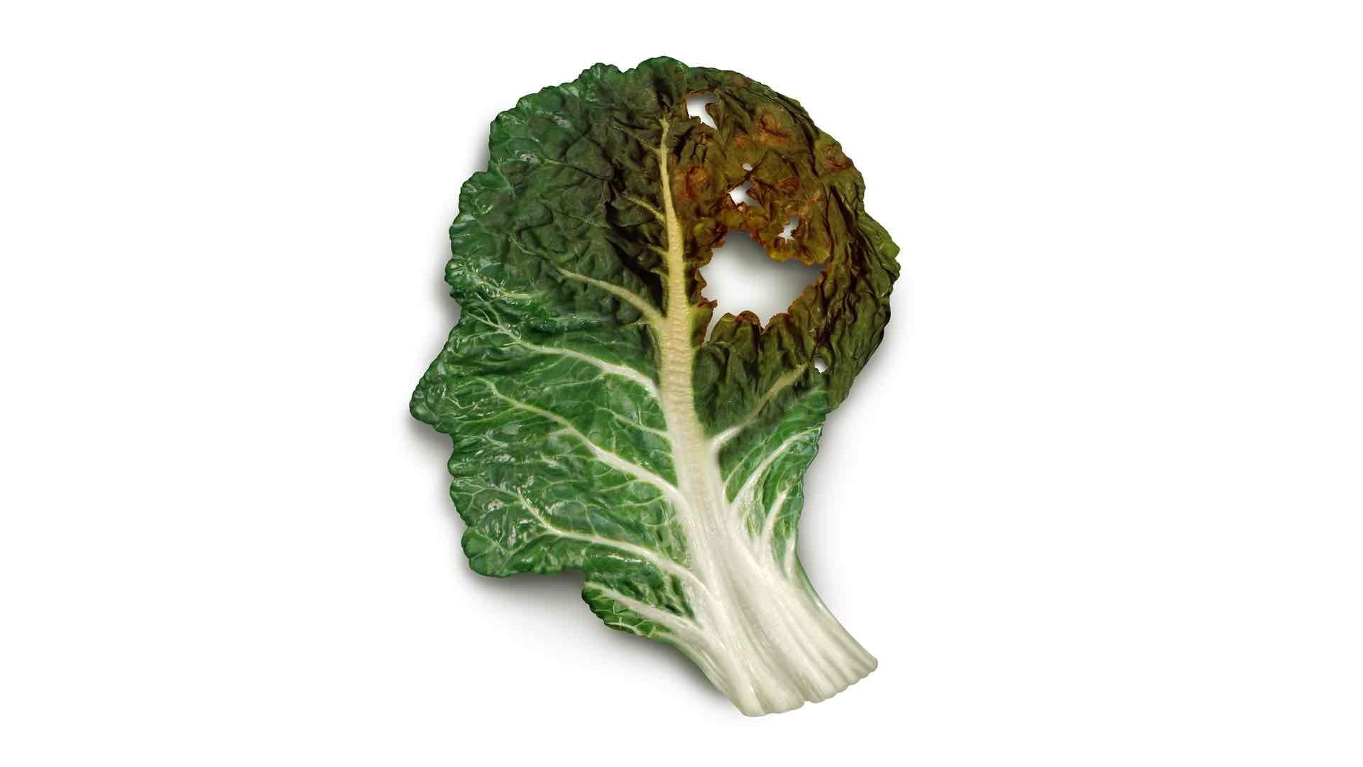 illustration of Alzheimer’s disease using a vegetable  leaf 