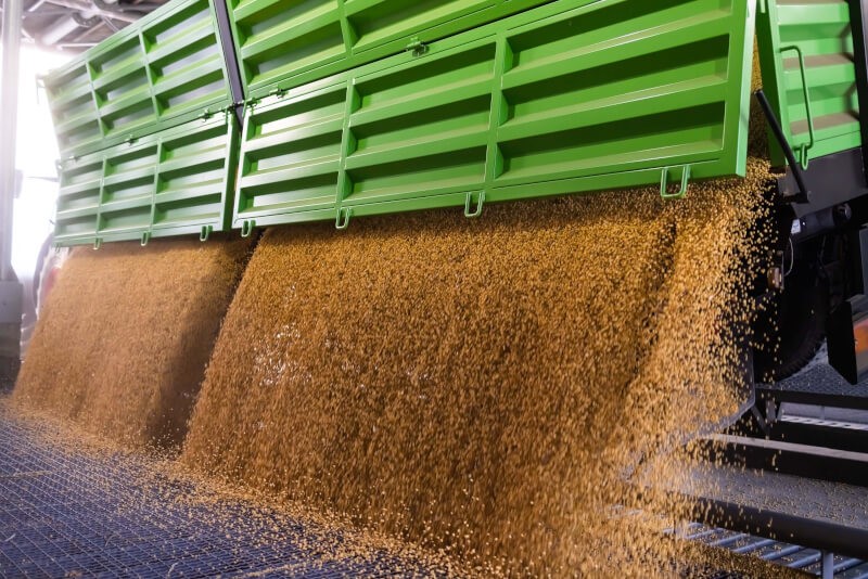 Unloading soybean