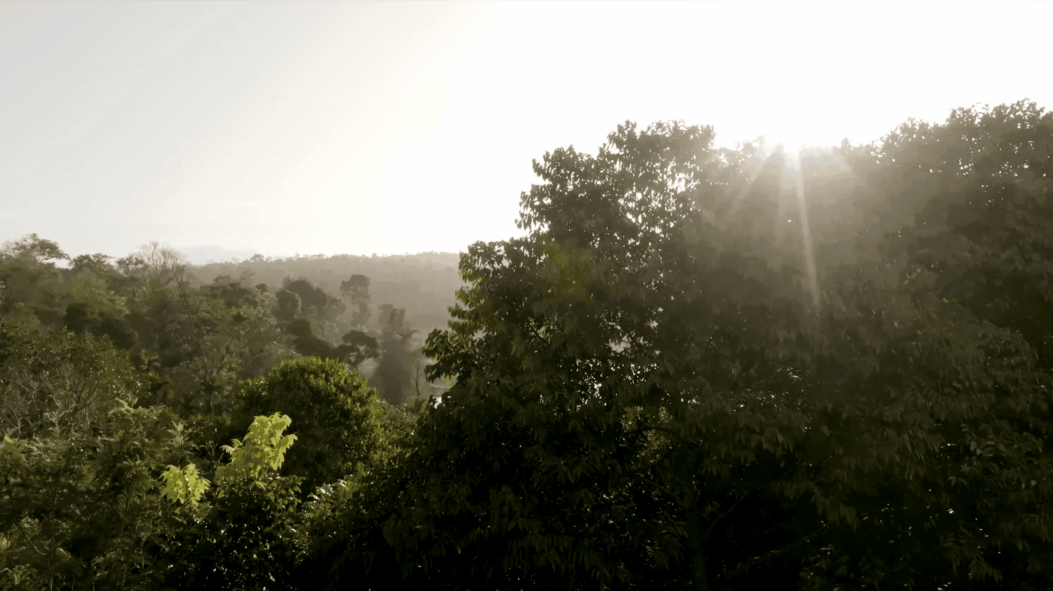 Morning Sunrise at sannidhi ecofarms
