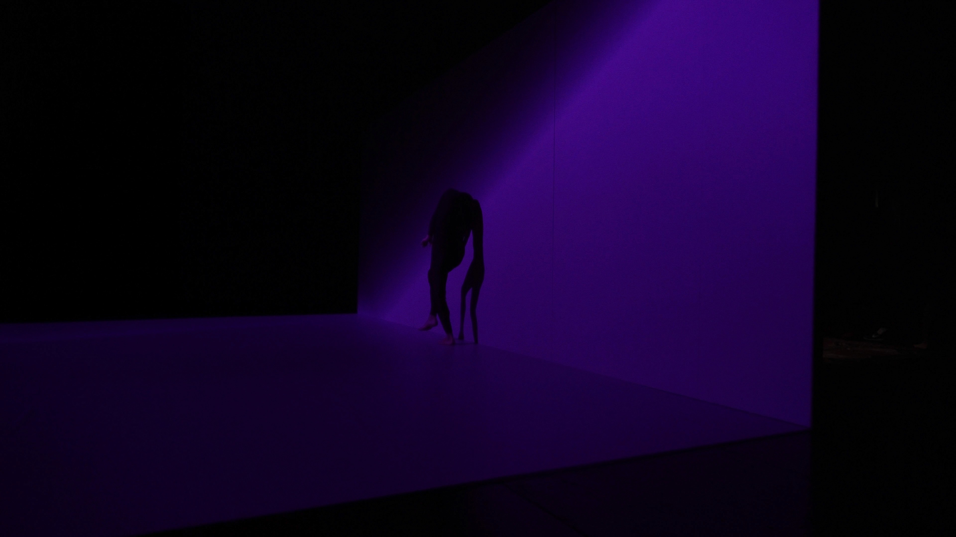 Spektrum - augmented performance installation