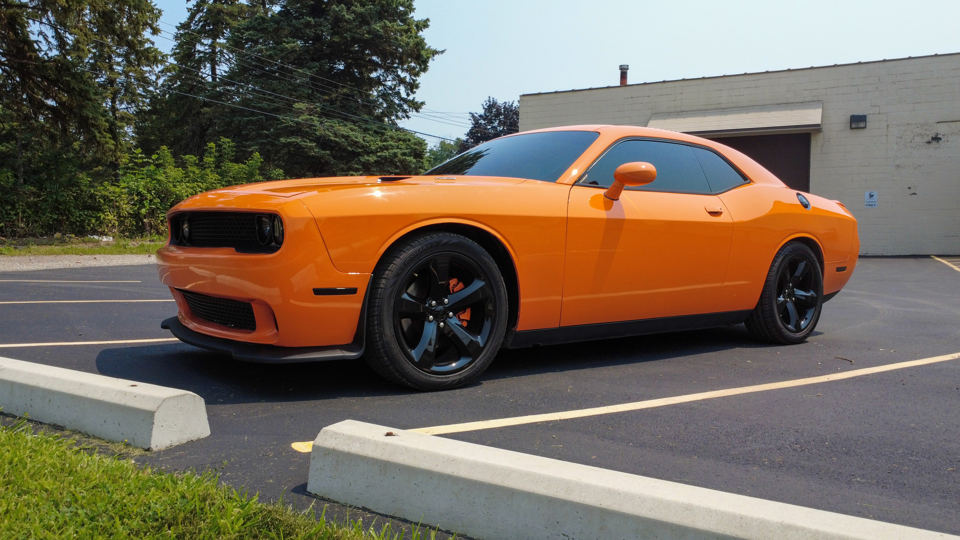 Service Photo Real Mehedi Free Framer Template Photography