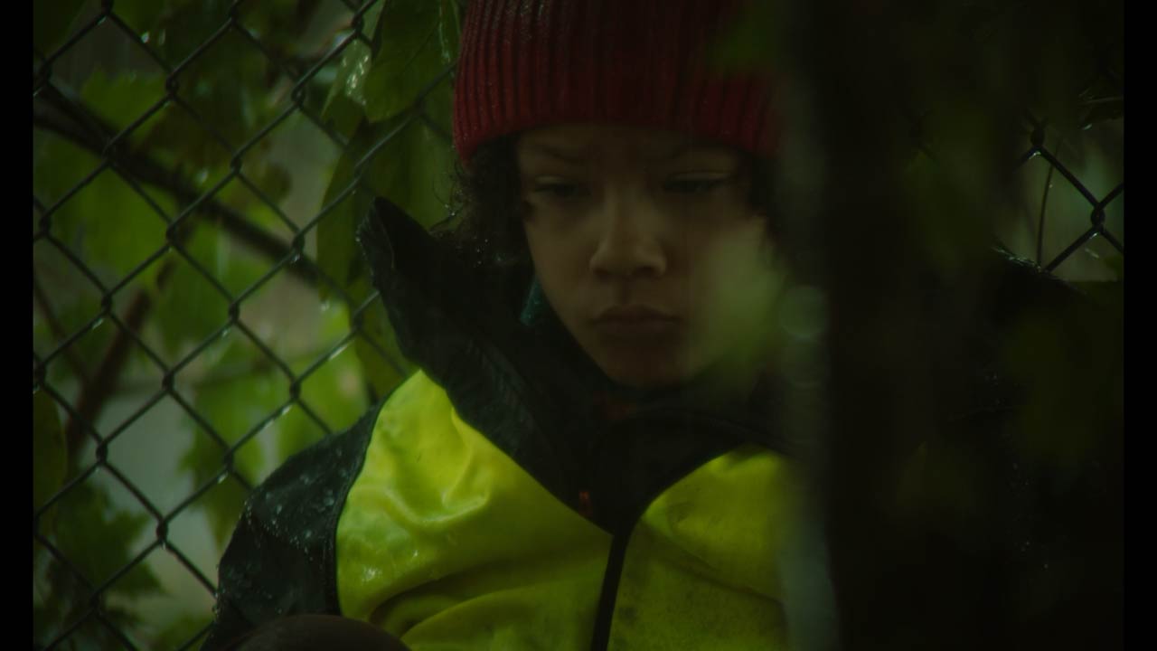 Magnetic repel image