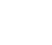 Kestrel