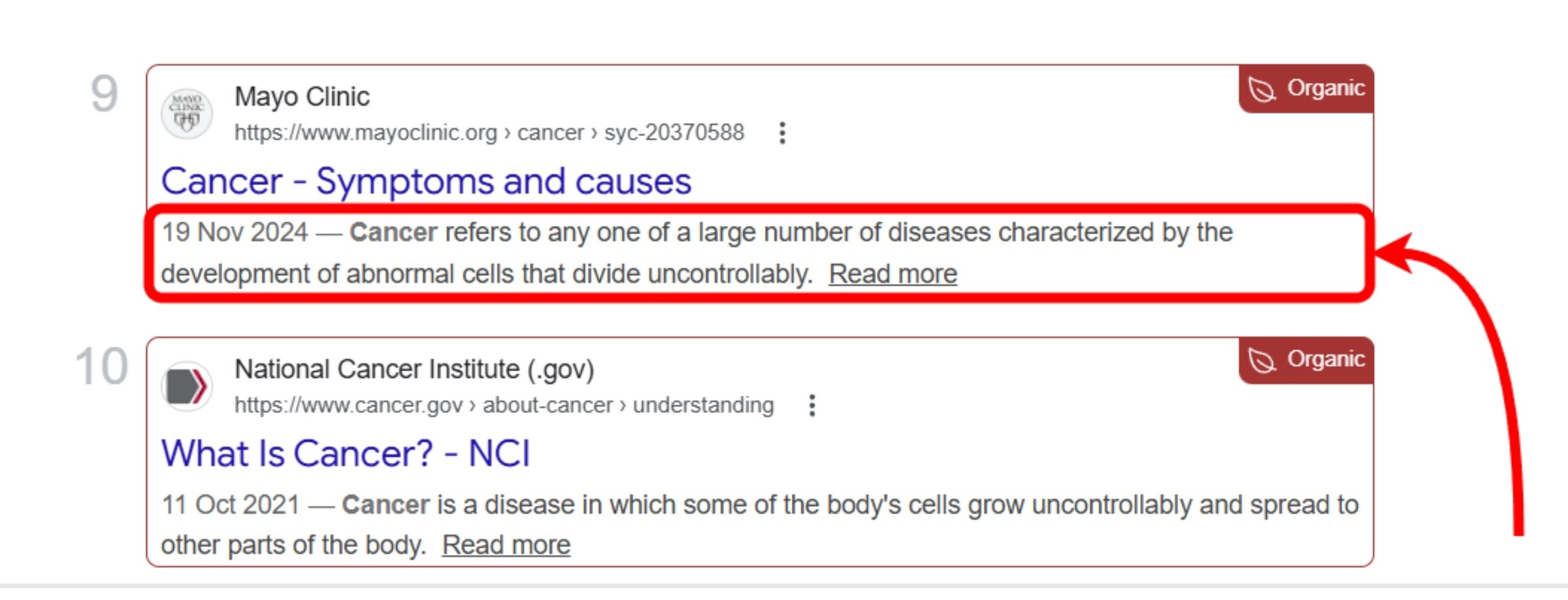 how-to-see-your-meta-description