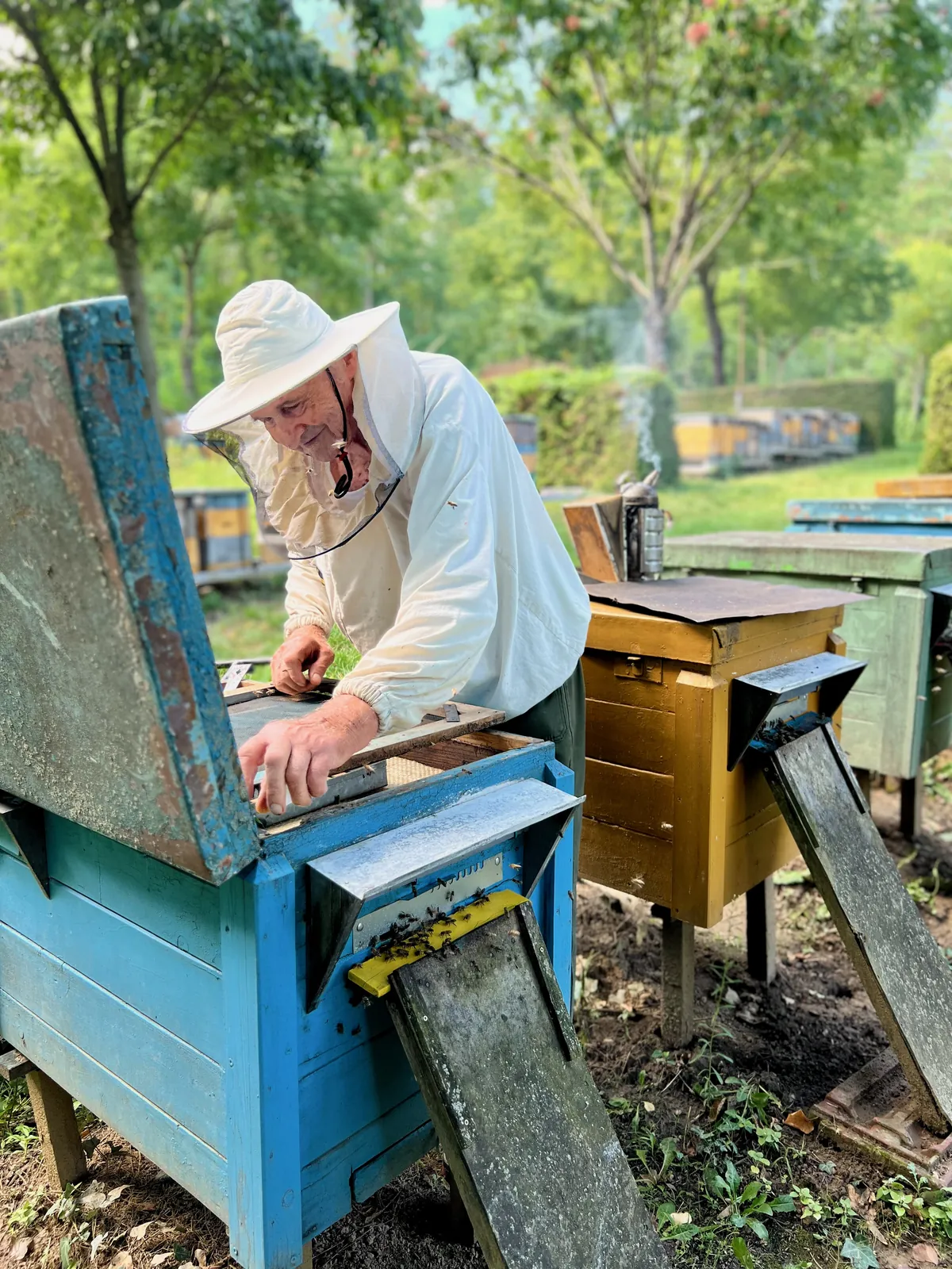 Tanulunk és tanítunk a fenntarthatóságról