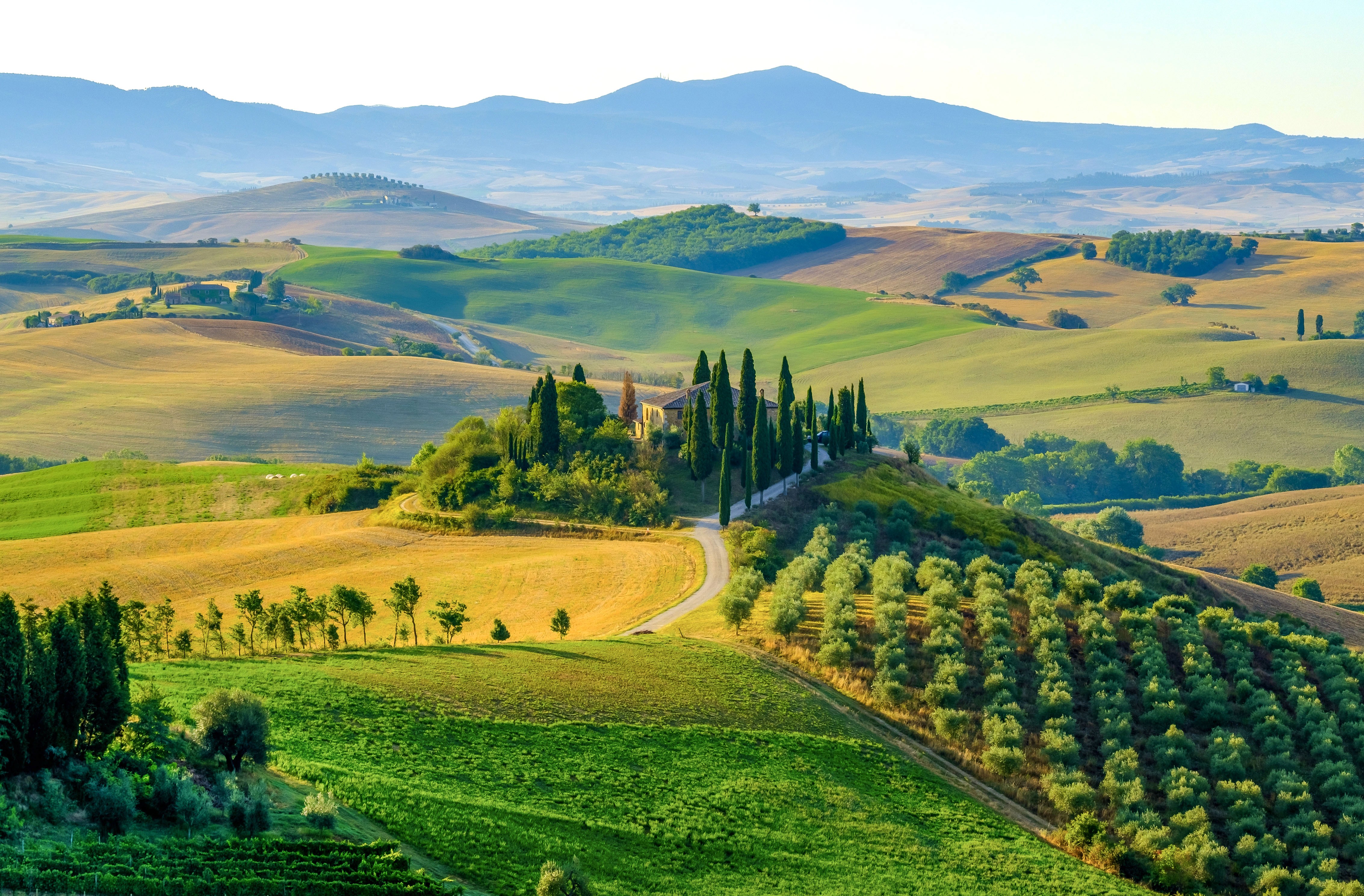 意大利托斯卡纳基安蒂美景:连绵起伏的丘陵、郁郁葱葱的葡萄园和标志性的丝柏树。