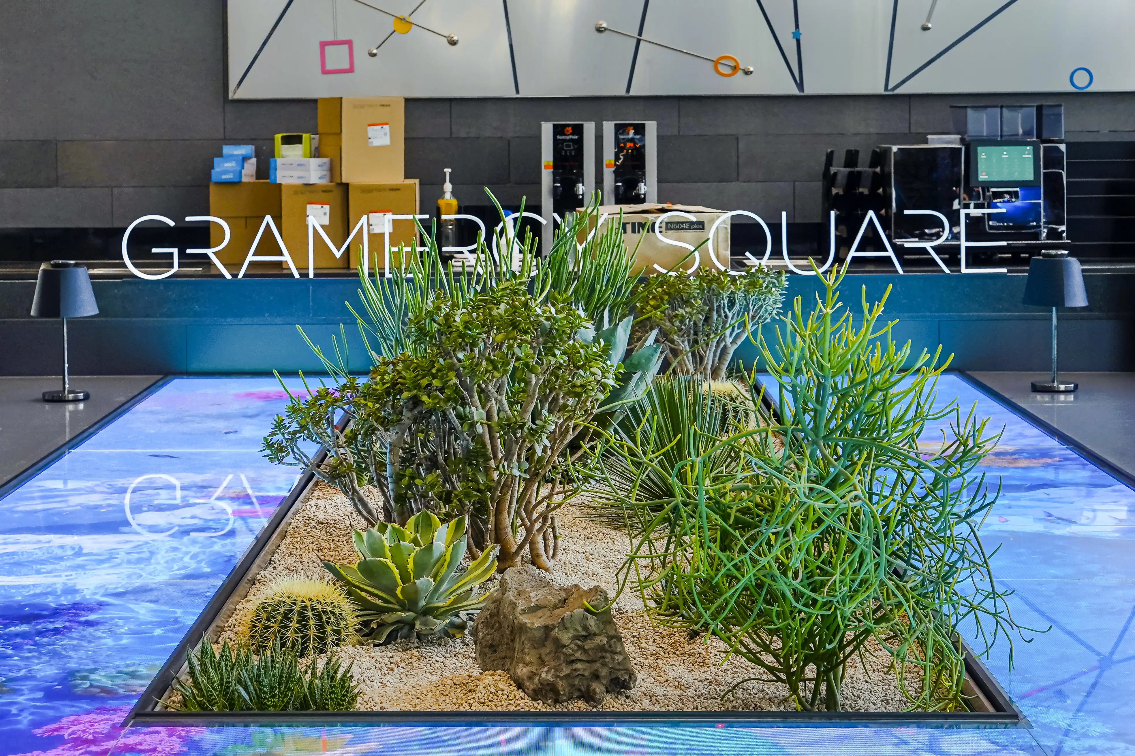 선인장 퍼니처가든