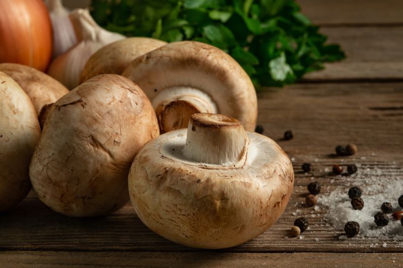 Champignon