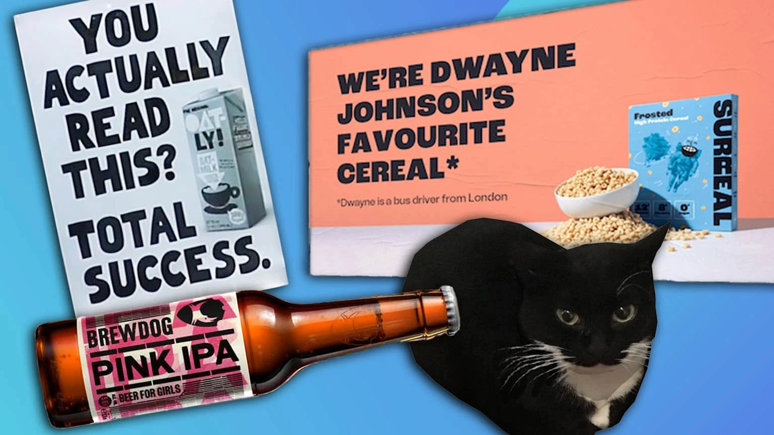 imperfect by design, designové trendy