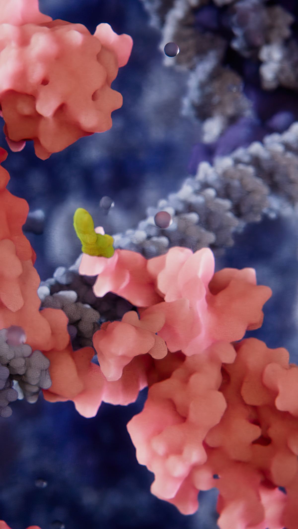 Tranascription factor interacting with the DNA molecula and a small-molecule drug approaching it