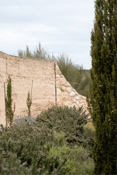 Textured stone architecture framed by native coastal planting at Little Cuttlefish.