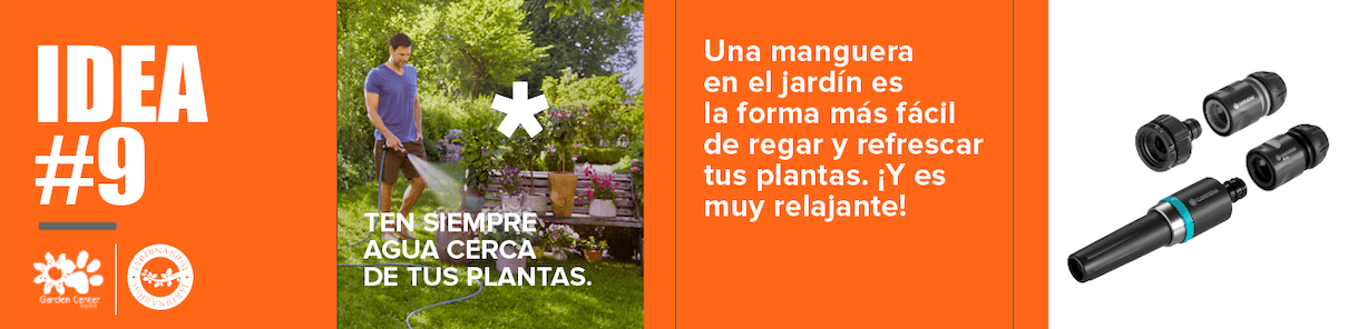 Técnicas de riego adecuado para plantas