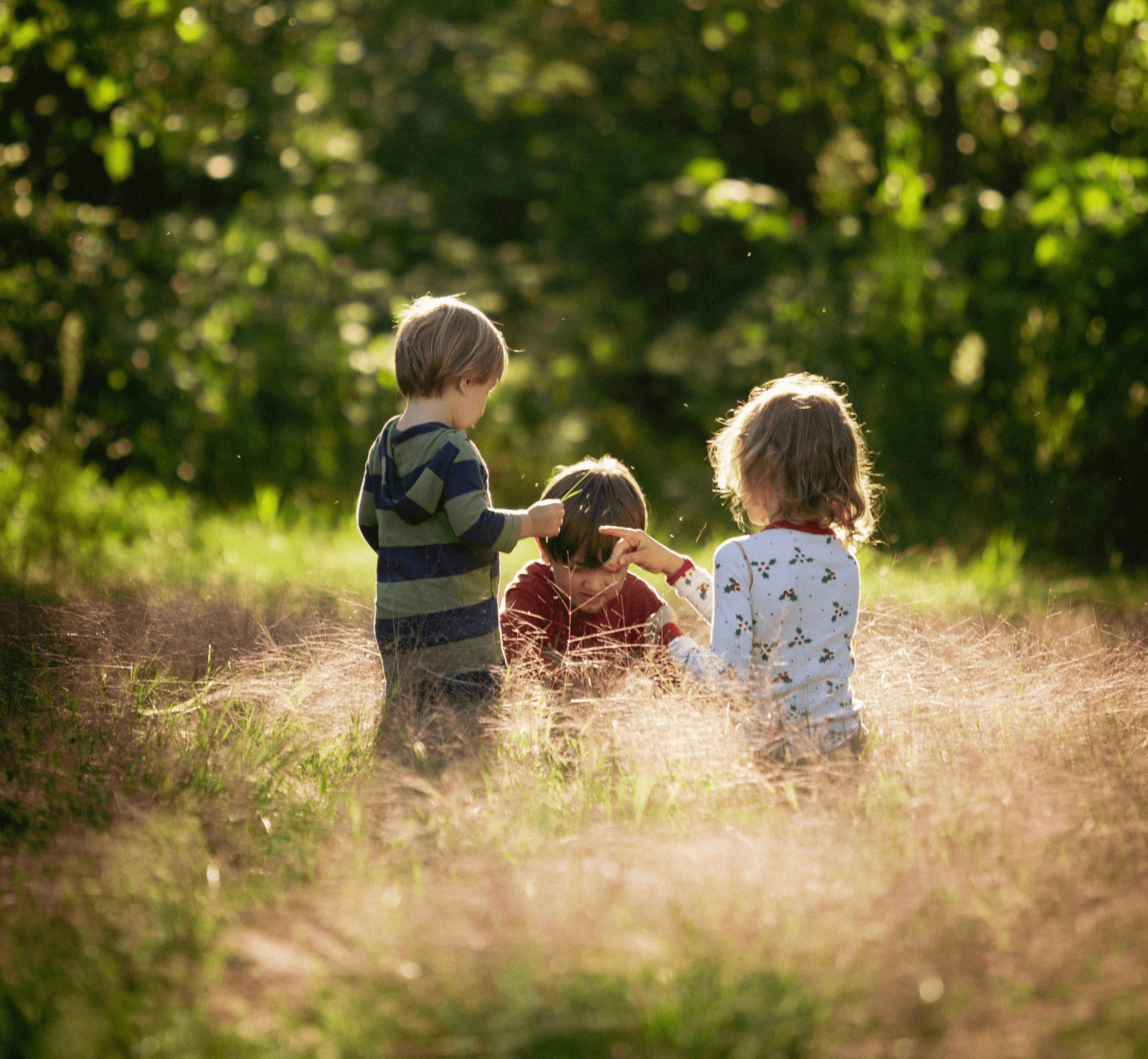 three children are sitting in a field of tall grass