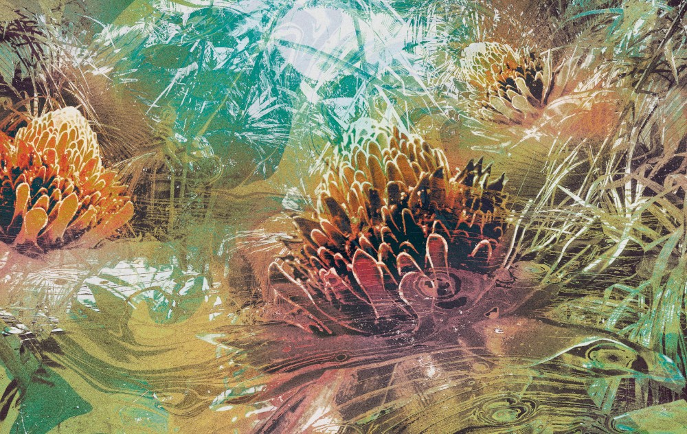 etiquette jet fuel west coast ipa 